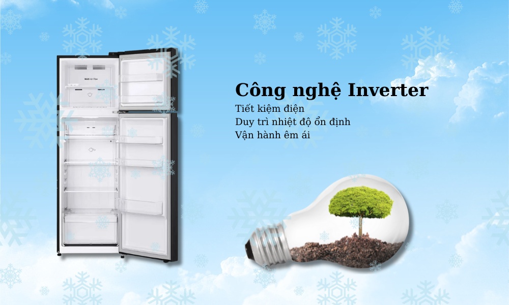 Tủ Lạnh LG Inverter 266 Lít LTB26BLM với công nghệ Inverter