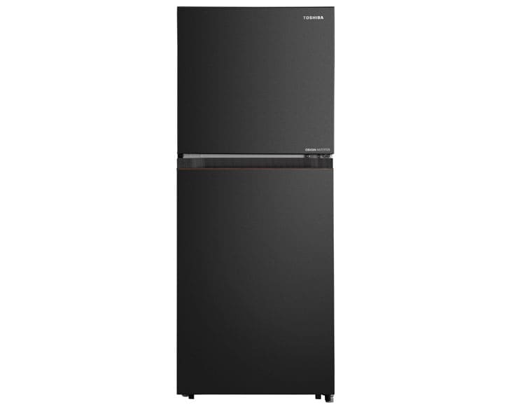 Tủ lạnh Toshiba Inverter 207 Lít GR-RT268WE-PMV(68)
